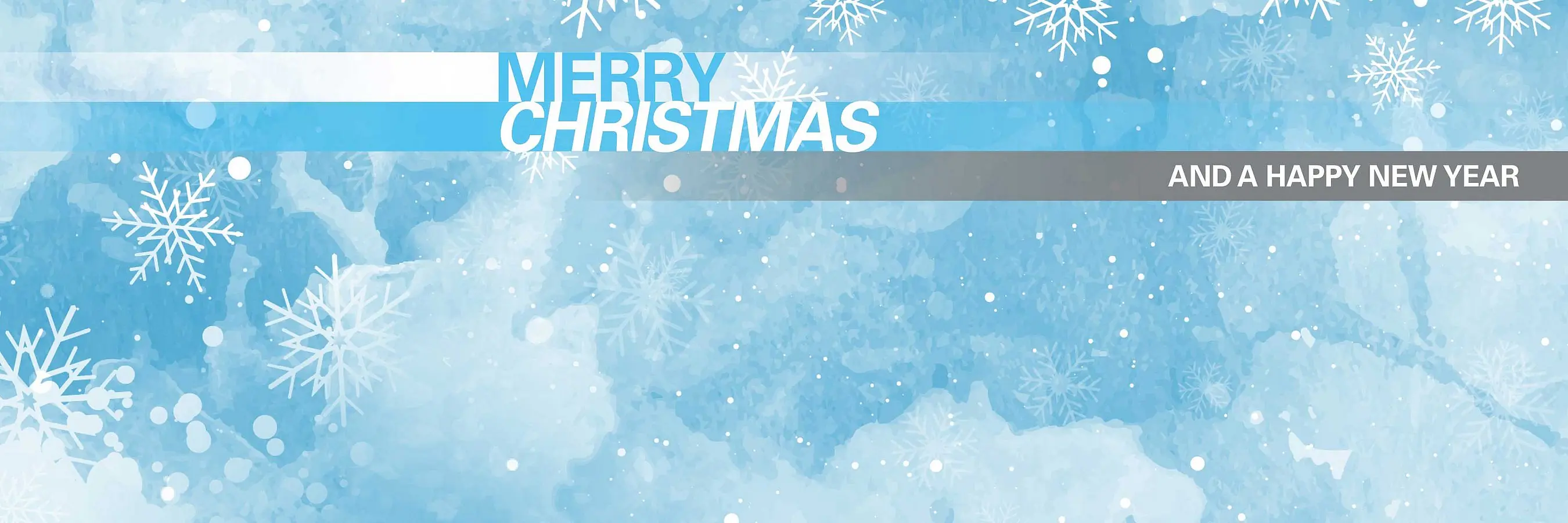 Merry Christmas Domarin 2025